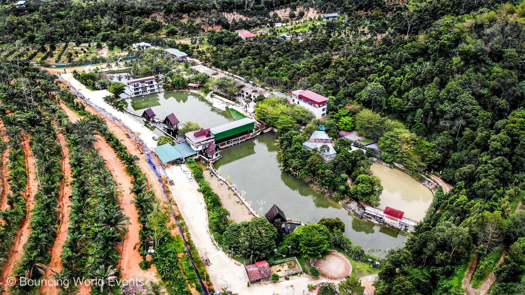 Aerial view of Mantin Forest Art Farmstay, the lake and the chalets