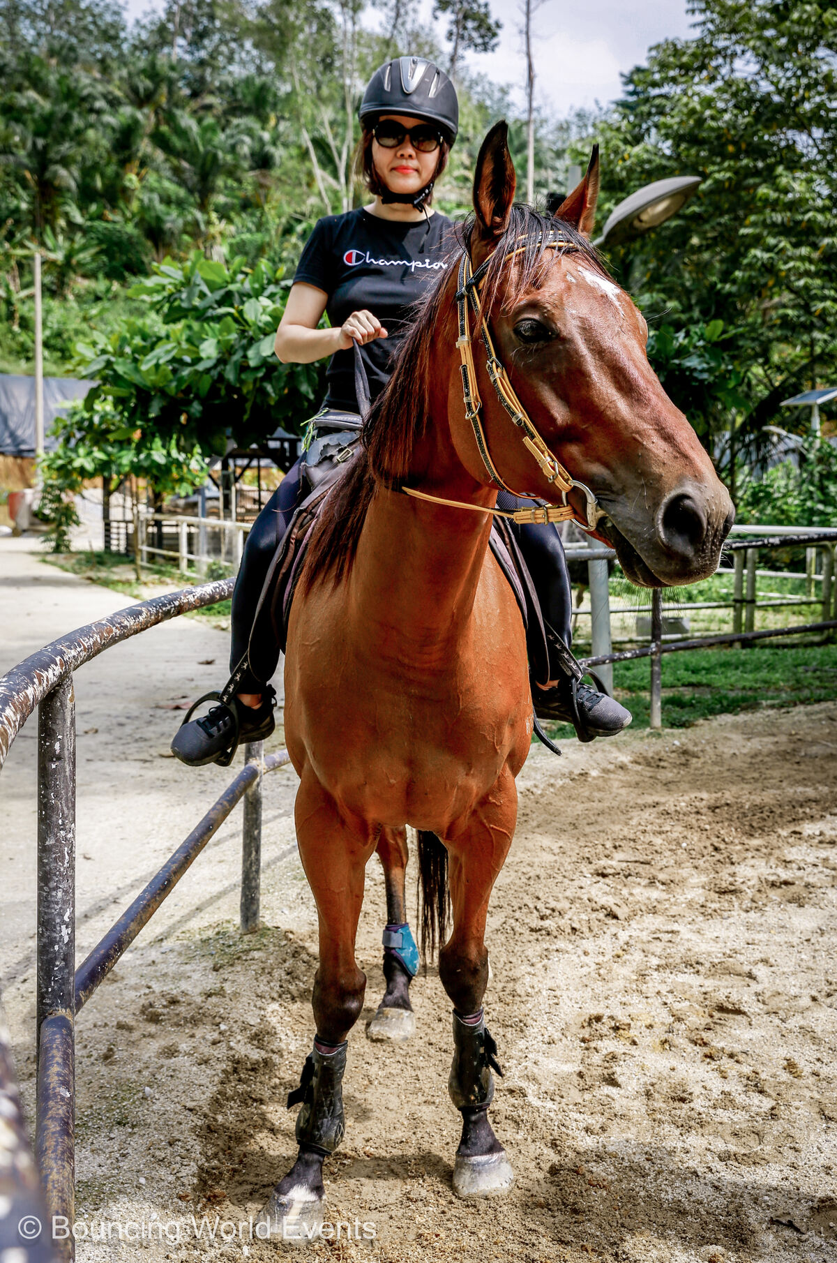 Horse Riding